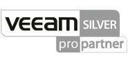 Veem Silver Pro Partner